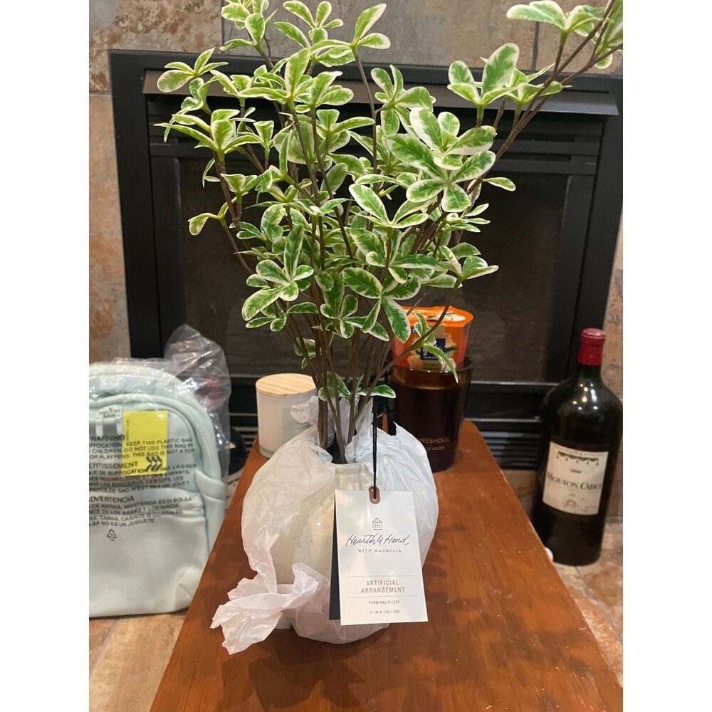 Artificial variegated Pittosporum arrangement from the Hearth & Hand with Magnol